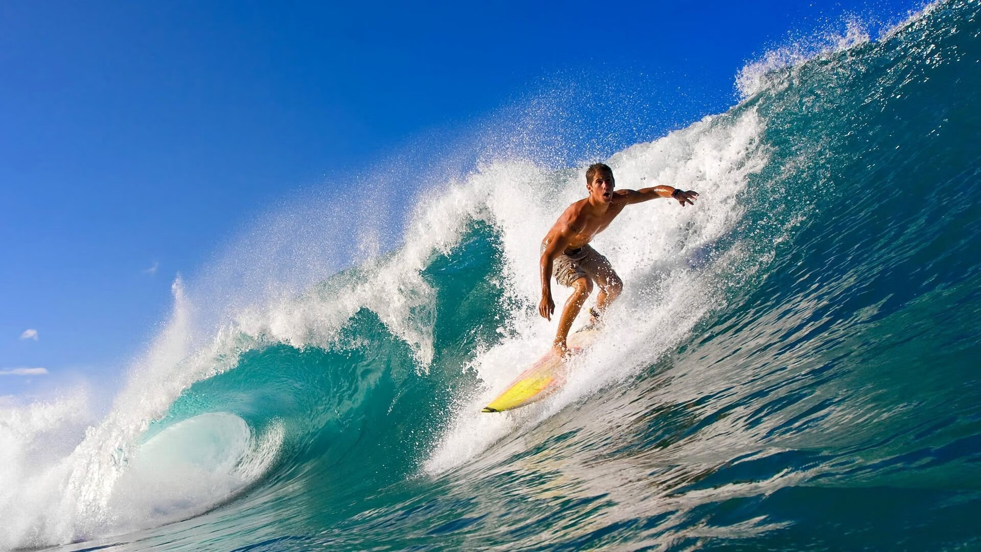 _职业巡回赛新赛季：精彩纷呈，期待已久_，巡回赛点数